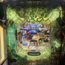 후쿠 3일차 간단 후기 이미지