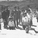 하청농장 이미지