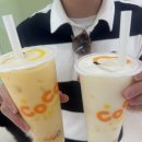 7월 상하이 여행 기록