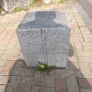 백마고등학교 앞 이미지