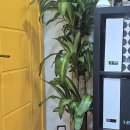 알찬부동산중개사무소 이미지