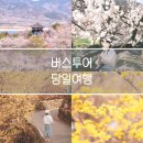 점촌마을회관 | 테마캠프 버스투어 후기 :: 광양 매화마을 &amp; 구례 산수유 당일치기
