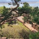 심학공인중개사사무소 이미지