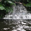 여미지식물원 이미지