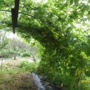 송우농장 이미지