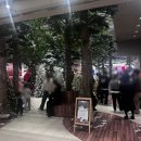 커넥트부동산중개 | '25.12 요약 : 외근 + 대만 가오슝