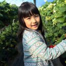 개실마을_3 이미지