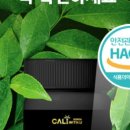 켈리윗유 코리아
