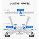 서편 | [인천공항] 스카이 허브 라운지 서편 후기
