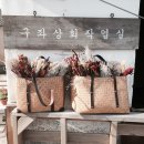 카카오 이미지
