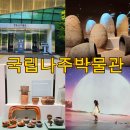 중앙지하차도 교통섬 | 전남 나주 가볼만한 곳 국립나주박물관 관람 후기
