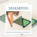 탈모샴푸 고민된다면 발효실록 그린 샴푸바 사용 후기 여행 준비물 추천