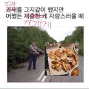 2023년 12월 - 2024년 1월