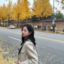 본우리집밥 서울9호선운영(주) | 전시, 천진영감, 서촌 단풍, 아이노가든키친, 가을 서울숲, 판교 숙성도, 롯데월드몰, 고메렘 강남점