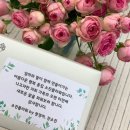 다산꽃집