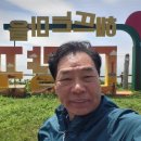 *충남~서천 마량진항,축제* 이미지