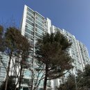 이매고교 내 이미지