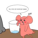 강모집