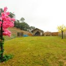 도그펠리스 이미지