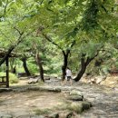 중원계곡펜션 이미지