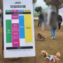 펫,멜로우(Pet,mellow) | 댕댕런 2023 가평 자라섬 반려견 운동회 후발댕 참여 후기