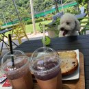 골프존파크 초전 시그니처점 이미지