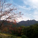 밤나무산장 이미지