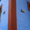 아술(AZUL) 이미지