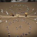 기지시줄다리기박물관 이미지