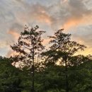 진동리주차장2(주차장 내) | 인제 진동리국민여가캠핑장 + 곰배령 등산
