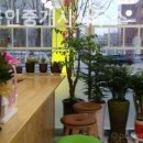 우송공인중개사사무소 이미지