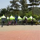 무주곤충박물관 이미지