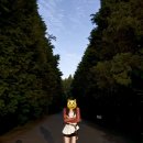 수림목장 이미지