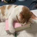 왜 바쁘지