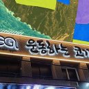 운동하는 코끼리 이미지