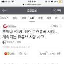 주먹밥 '먹방' 하던 日유튜버 사망…계속되는 유튜브 사망 사고 이미지