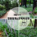 제4체육공원 | 시흥 가볼만한 곳 정왕동제4호체육공원 맥문동 실시간 개화현황