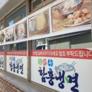 신비로텍 이미지