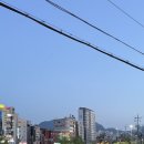 도림천 산책로5 이미지