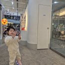 포토이즘박스양산 - 6070 | 포토이즘박스양산