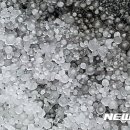 [국도3] 충주시 만정리