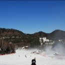 알펜시아리조트 이미지