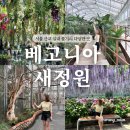 정원 | 춘천 실내 놀거리 동물원 체험 가능한 베고니아새정원 후기