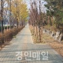 인중로 이미지