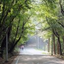 자연건강 - 거창군 공수들1길 51 | 자연건강