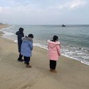 안목커피 이미지