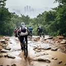 우면산3-19 이미지