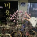 칠갑산석쇠구이