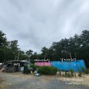 통일애견 이미지