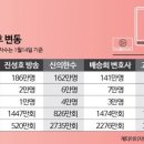 버블
